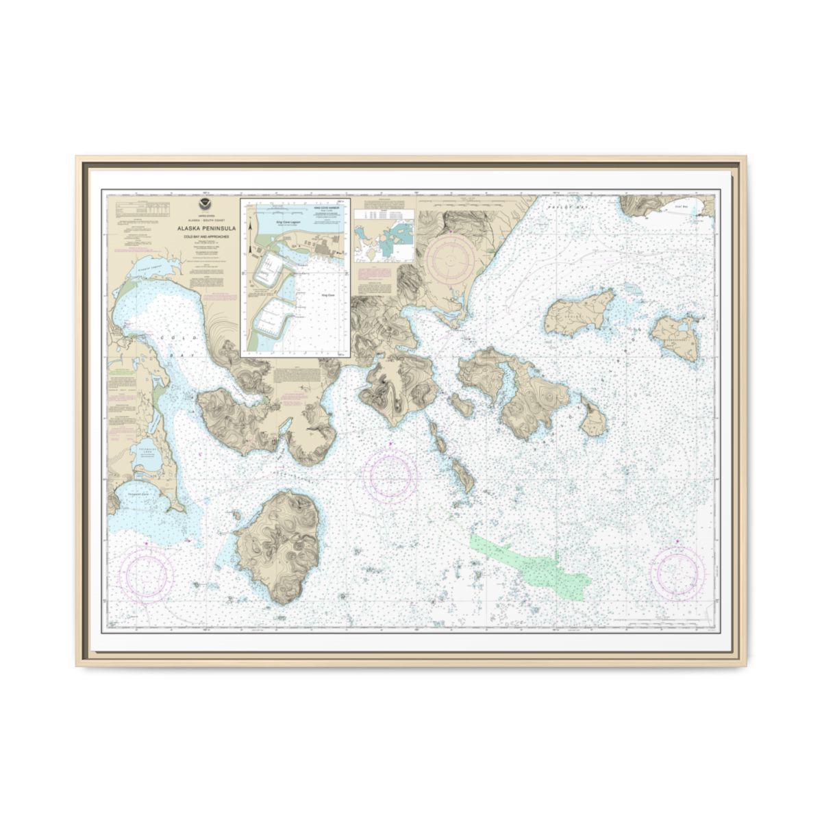 Chart 16549 Cold Bay and approaches, Alaska Pen.;King Cove Harbor - NOAA Nautical Chart Floating Frame Canvas | 32" x 24" | 40" x 30" - Natural front