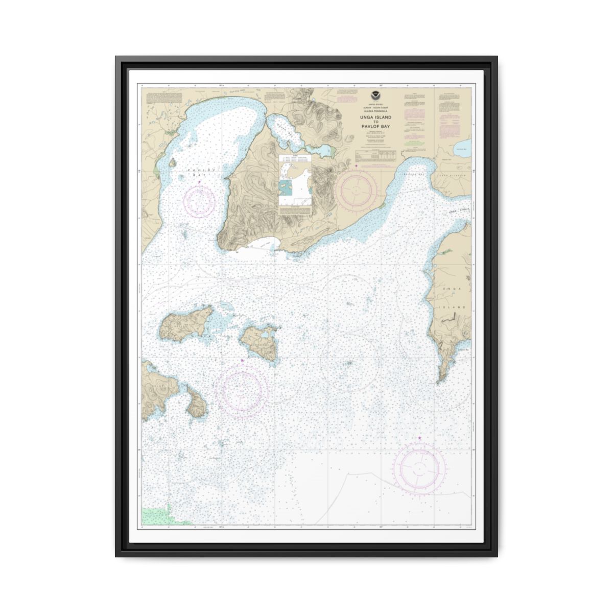 Chart 16551 Unga Island to Pavlof Bay, Alaska Pen. - NOAA Nautical Chart Floating Frame Canvas | 24" x 32" | 30" x 40" - Black front