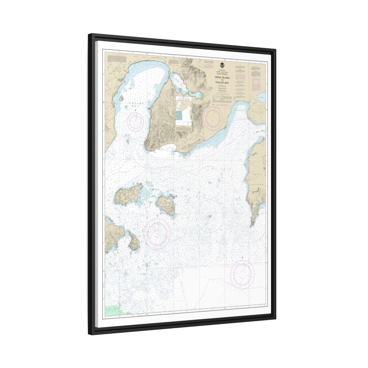 Chart 16551 Unga Island to Pavlof Bay, Alaska Pen. - NOAA Nautical Chart Floating Frame Canvas | 24" x 32" | 30" x 40" - Black side