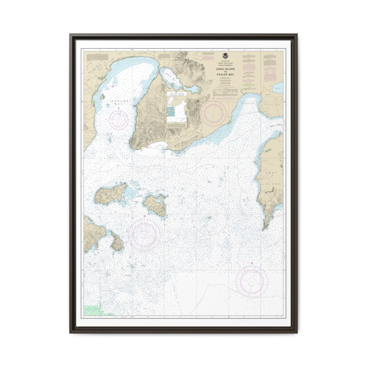 Chart 16551 Unga Island to Pavlof Bay, Alaska Pen. - NOAA Nautical Chart Floating Frame Canvas | 24" x 32" | 30" x 40" - Espresso front
