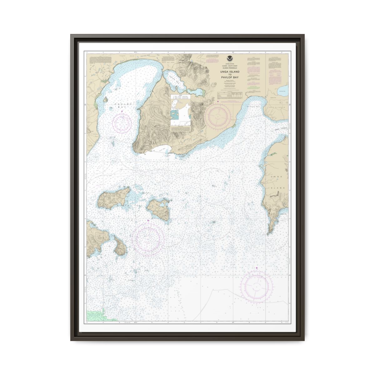 Chart 16551 Unga Island to Pavlof Bay, Alaska Pen. - NOAA Nautical Chart Floating Frame Canvas | 24" x 32" | 30" x 40" - Espresso front