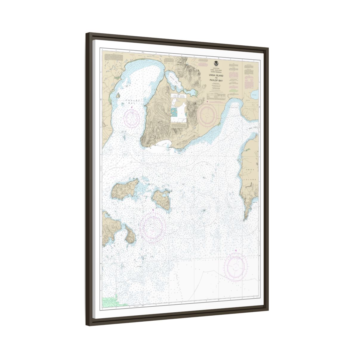 Chart 16551 Unga Island to Pavlof Bay, Alaska Pen. - NOAA Nautical Chart Floating Frame Canvas | 24" x 32" | 30" x 40" - Espresso side