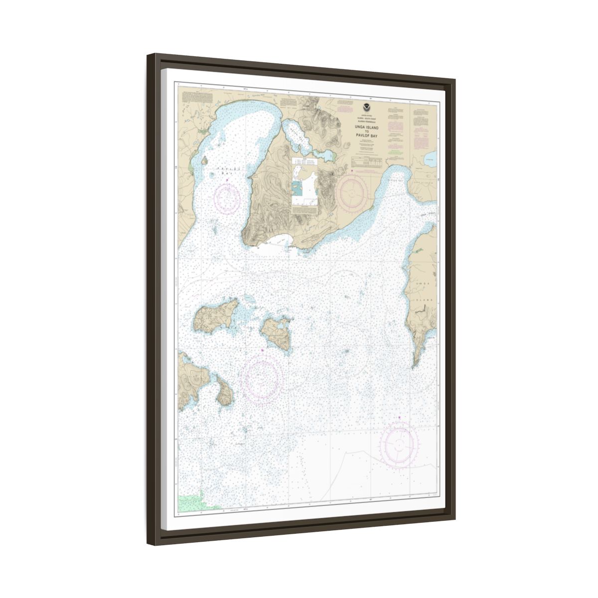 Chart 16551 Unga Island to Pavlof Bay, Alaska Pen. - NOAA Nautical Chart Floating Frame Canvas | 24" x 32" | 30" x 40" - Espresso side