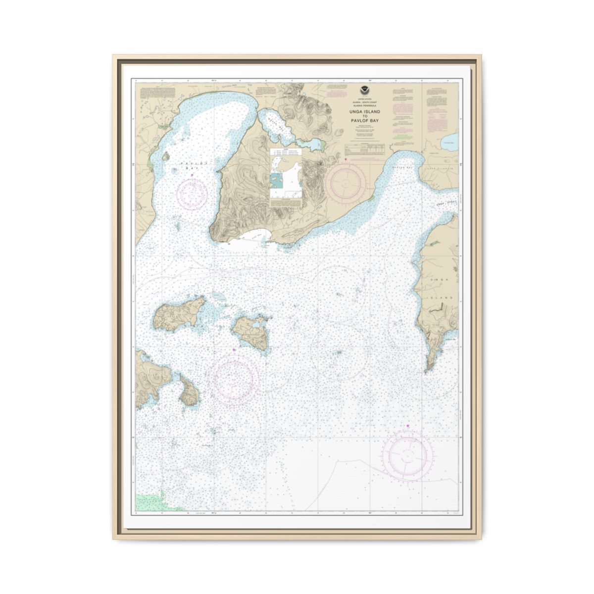 Chart 16551 Unga Island to Pavlof Bay, Alaska Pen. - NOAA Nautical Chart Floating Frame Canvas | 24" x 32" | 30" x 40" - Natural front