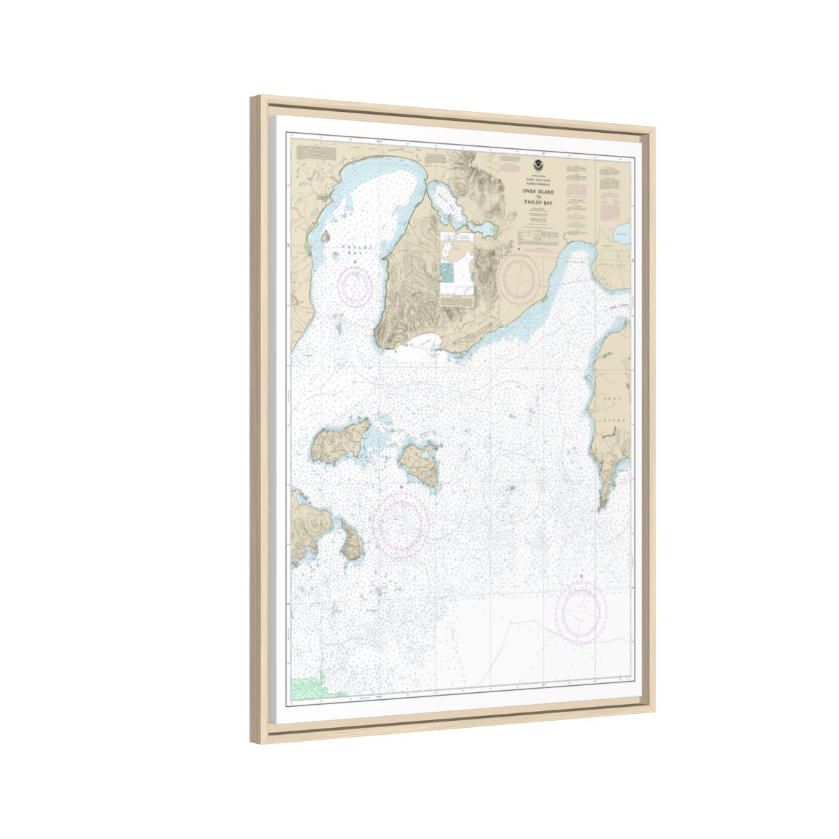 Chart 16551 Unga Island to Pavlof Bay, Alaska Pen. - NOAA Nautical Chart Floating Frame Canvas | 24" x 32" | 30" x 40" - Natural side