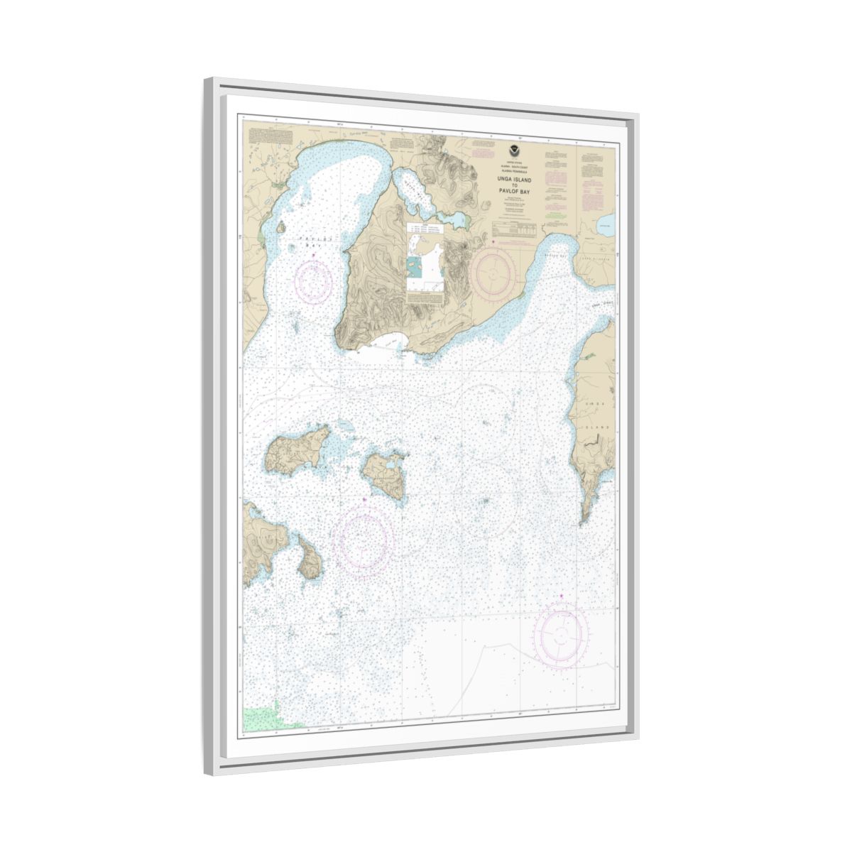 Chart 16551 Unga Island to Pavlof Bay, Alaska Pen. - NOAA Nautical Chart Floating Frame Canvas | 24" x 32" | 30" x 40" - White side