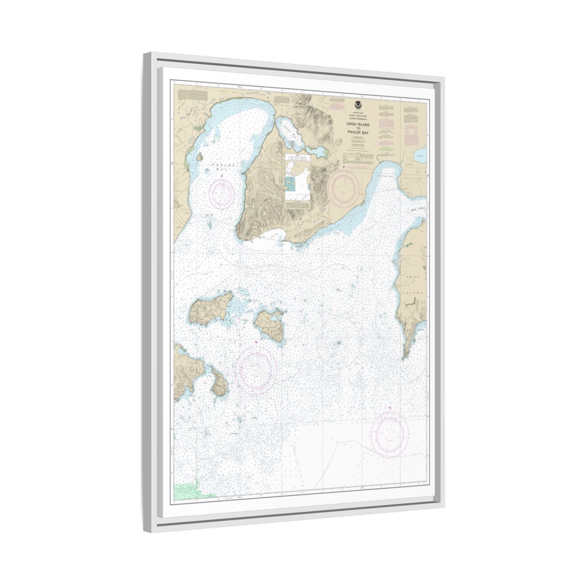 Chart 16551 Unga Island to Pavlof Bay, Alaska Pen. - NOAA Nautical Chart Floating Frame Canvas | 24" x 32" | 30" x 40" - White side