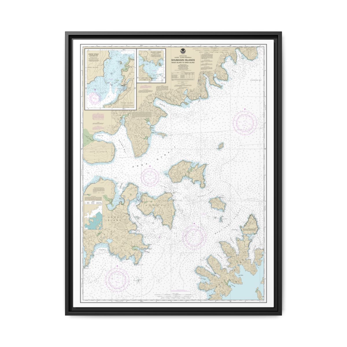 Chart 16553 Shumagin Islands-Nagai I. to Unga I.;Delarof Harbor;Popof Strait, northern part - NOAA Nautical Chart Floating Frame Canvas | 24" x 32" | 30" x 40" - Black front