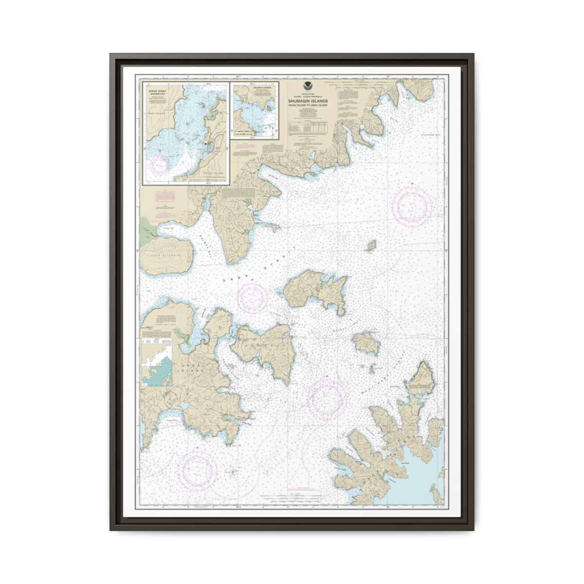 Chart 16553 Shumagin Islands-Nagai I. to Unga I.;Delarof Harbor;Popof Strait, northern part - NOAA Nautical Chart Floating Frame Canvas | 24" x 32" | 30" x 40" - Espresso front