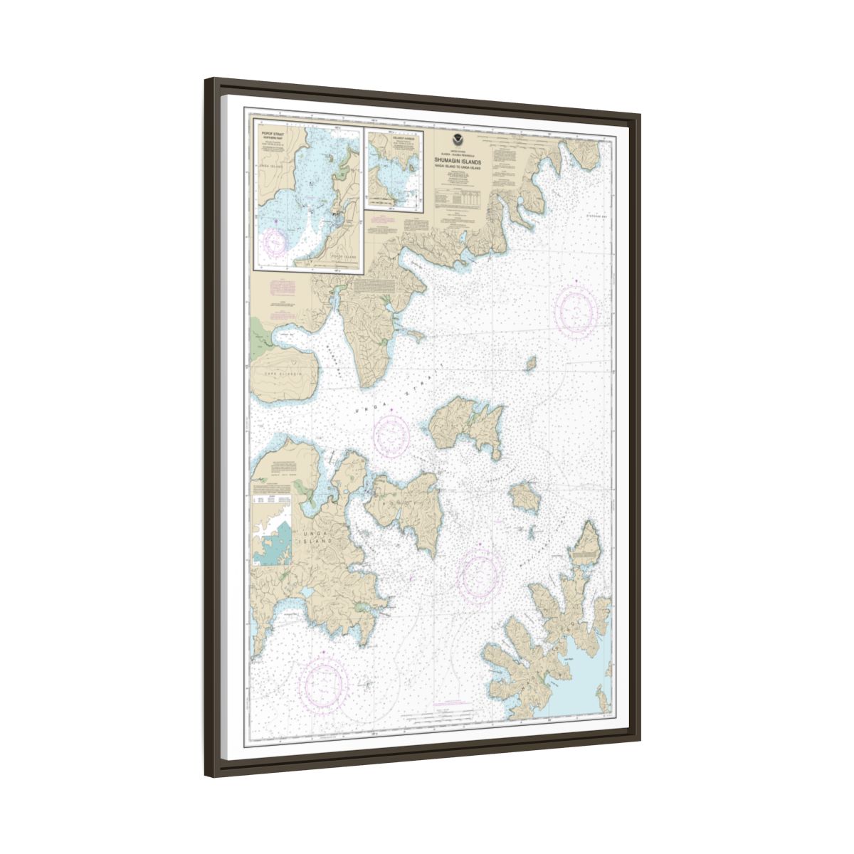 Chart 16553 Shumagin Islands-Nagai I. to Unga I.;Delarof Harbor;Popof Strait, northern part - NOAA Nautical Chart Floating Frame Canvas | 24" x 32" | 30" x 40" - Espresso side
