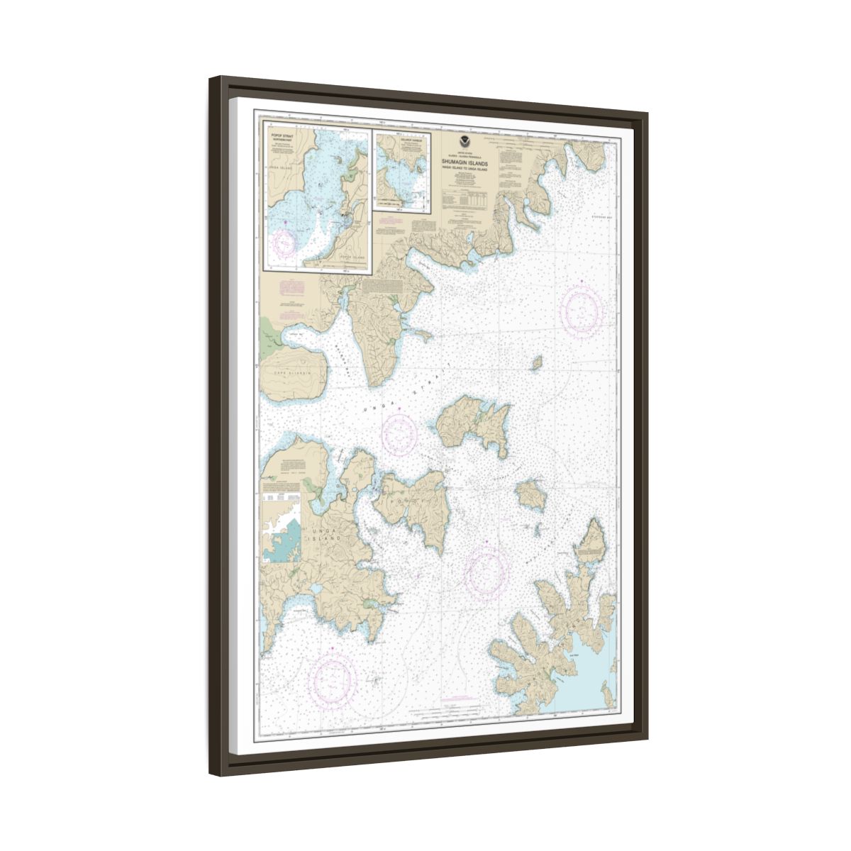 Chart 16553 Shumagin Islands-Nagai I. to Unga I.;Delarof Harbor;Popof Strait, northern part - NOAA Nautical Chart Floating Frame Canvas | 24" x 32" | 30" x 40" - Espresso side