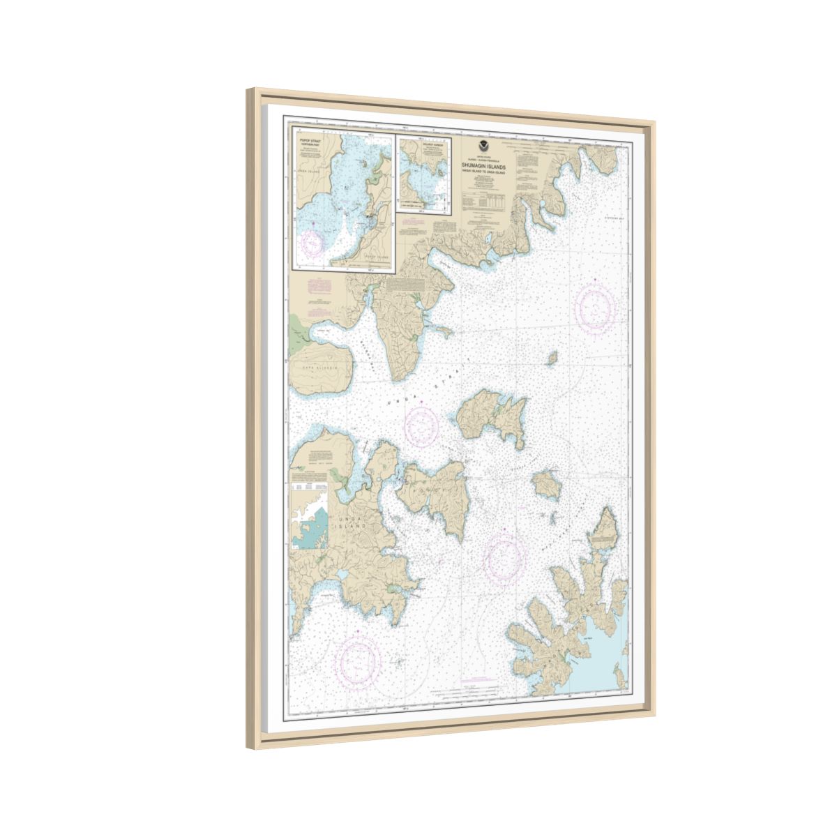 Chart 16553 Shumagin Islands-Nagai I. to Unga I.;Delarof Harbor;Popof Strait, northern part - NOAA Nautical Chart Floating Frame Canvas | 24" x 32" | 30" x 40" - Natural side