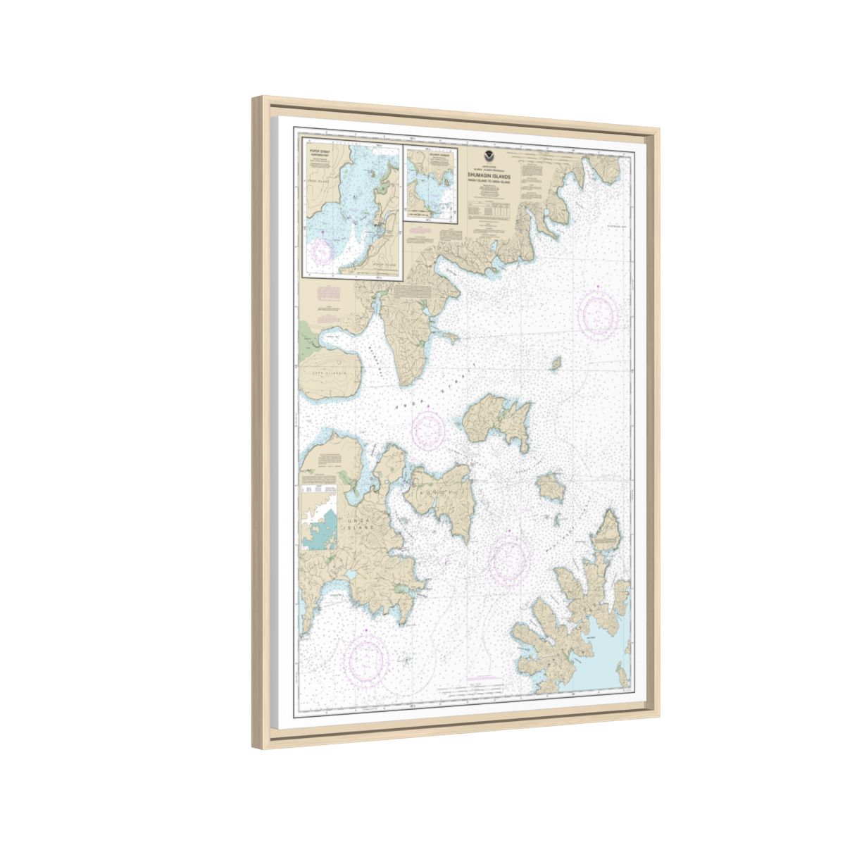 Chart 16553 Shumagin Islands-Nagai I. to Unga I.;Delarof Harbor;Popof Strait, northern part - NOAA Nautical Chart Floating Frame Canvas | 24" x 32" | 30" x 40" - Natural side