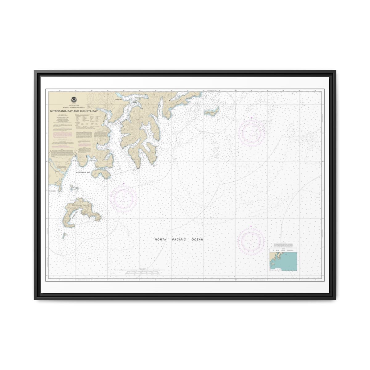Chart 16561 Mitrofania Bay And Kuiukta Bay - NOAA Nautical Chart Floating Frame Canvas | 32" x 24" | 40" x 30" - Black front