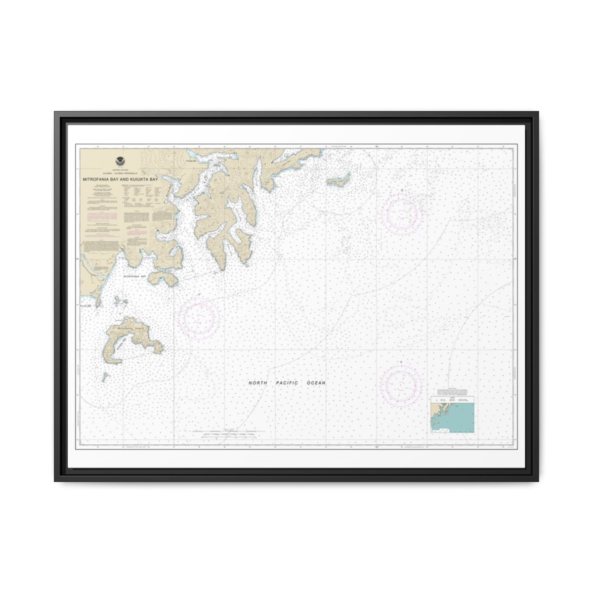 Chart 16561 Mitrofania Bay And Kuiukta Bay - NOAA Nautical Chart Floating Frame Canvas | 32" x 24" | 40" x 30" - Black front