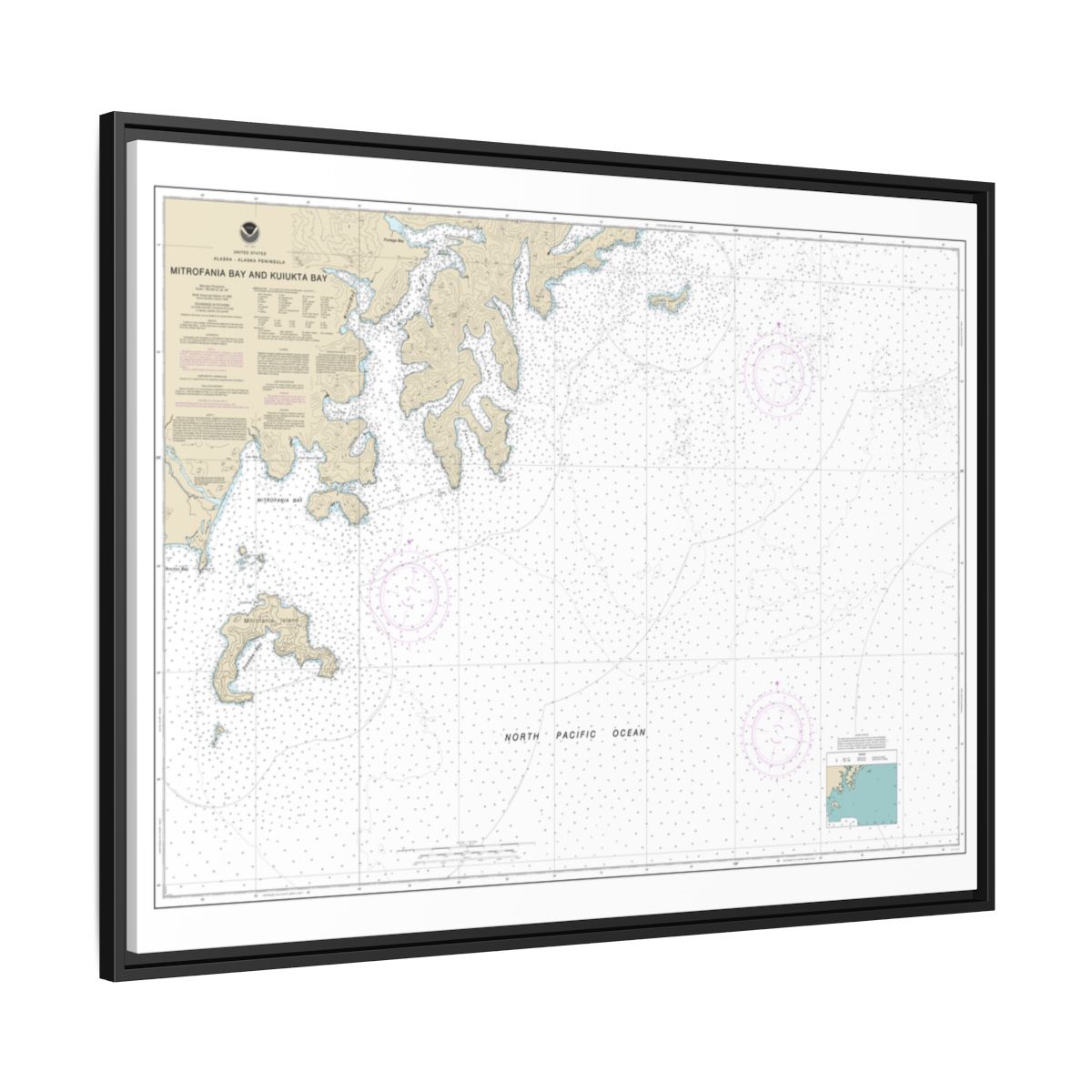 Chart 16561 Mitrofania Bay And Kuiukta Bay - NOAA Nautical Chart Floating Frame Canvas | 32" x 24" | 40" x 30" - Black side