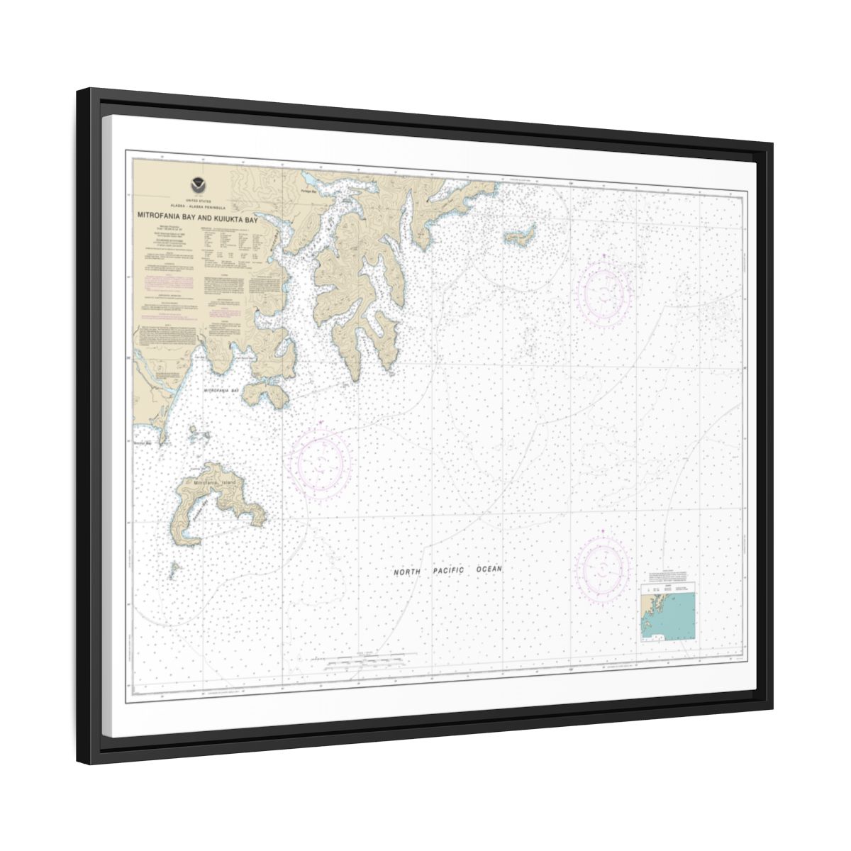 Chart 16561 Mitrofania Bay And Kuiukta Bay - NOAA Nautical Chart Floating Frame Canvas | 32" x 24" | 40" x 30" - Black side