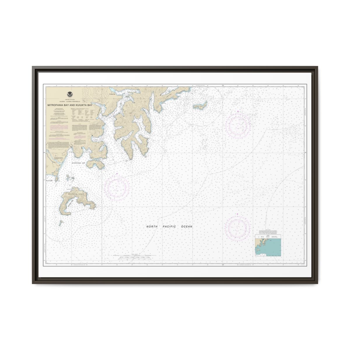 Chart 16561 Mitrofania Bay And Kuiukta Bay - NOAA Nautical Chart Floating Frame Canvas | 32" x 24" | 40" x 30" - Espresso front