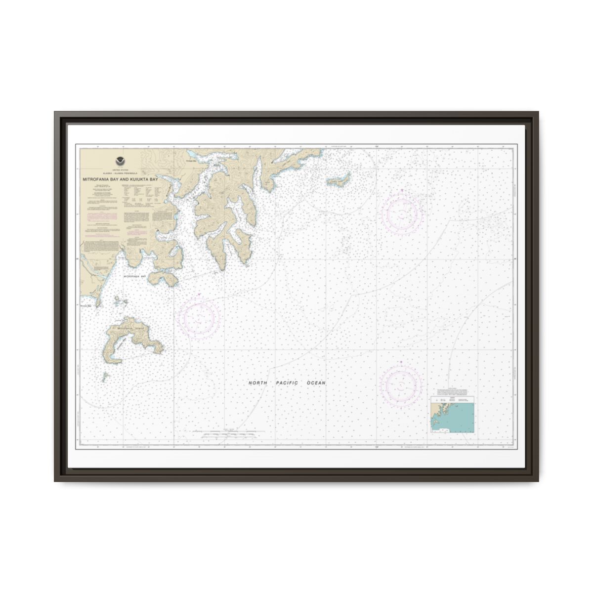 Chart 16561 Mitrofania Bay And Kuiukta Bay - NOAA Nautical Chart Floating Frame Canvas | 32" x 24" | 40" x 30" - Espresso front