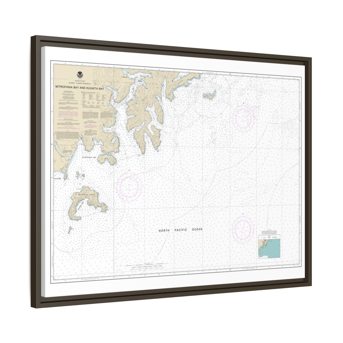 Chart 16561 Mitrofania Bay And Kuiukta Bay - NOAA Nautical Chart Floating Frame Canvas | 32" x 24" | 40" x 30" - Espresso side