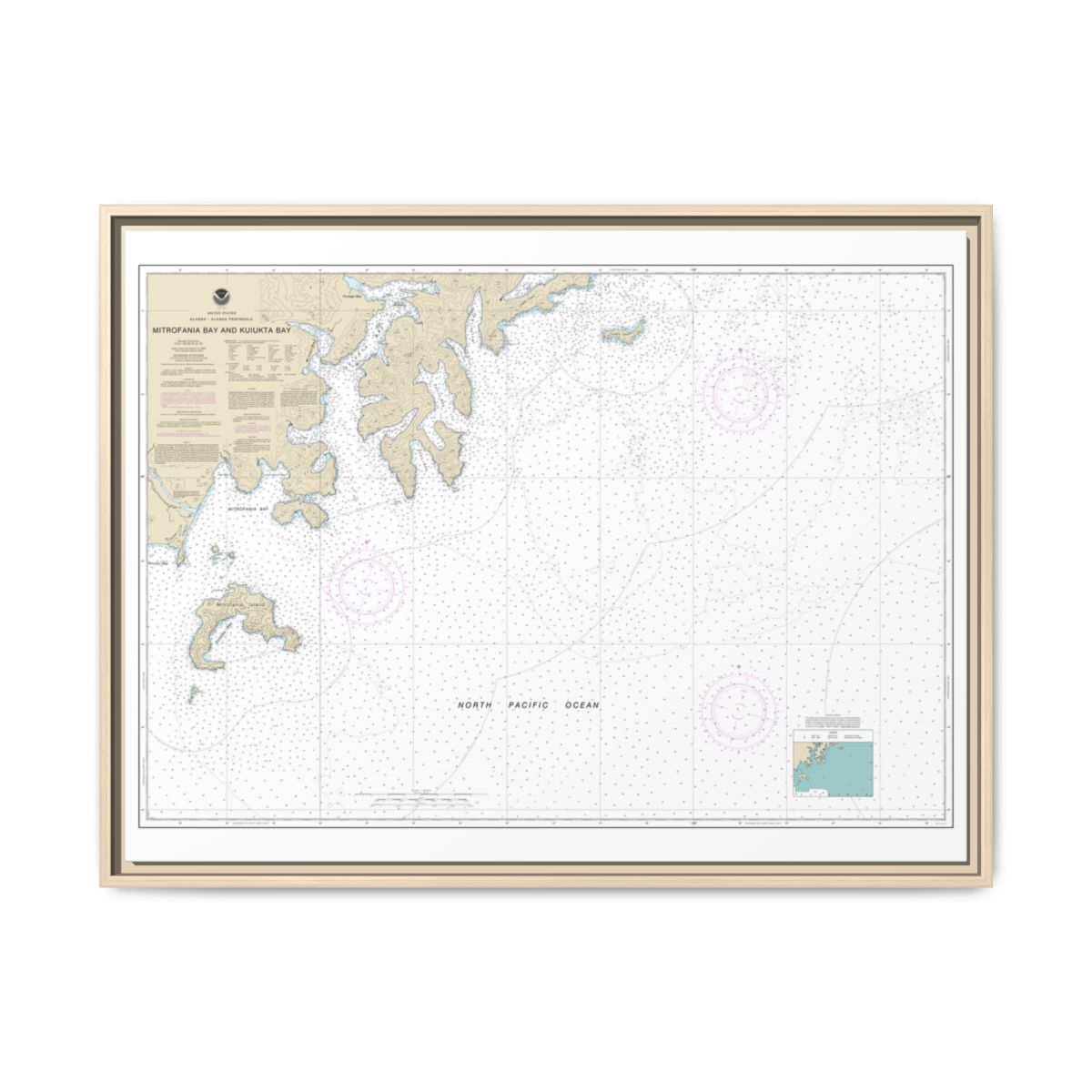Chart 16561 Mitrofania Bay And Kuiukta Bay - NOAA Nautical Chart Floating Frame Canvas | 32" x 24" | 40" x 30" - Natural front