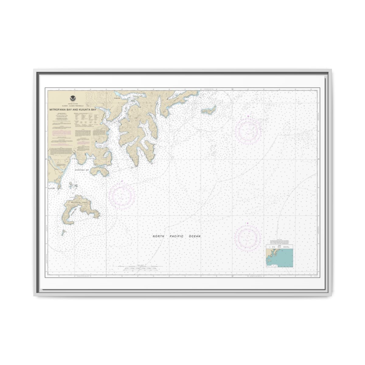 Chart 16561 Mitrofania Bay And Kuiukta Bay - NOAA Nautical Chart Floating Frame Canvas | 32" x 24" | 40" x 30" - White front