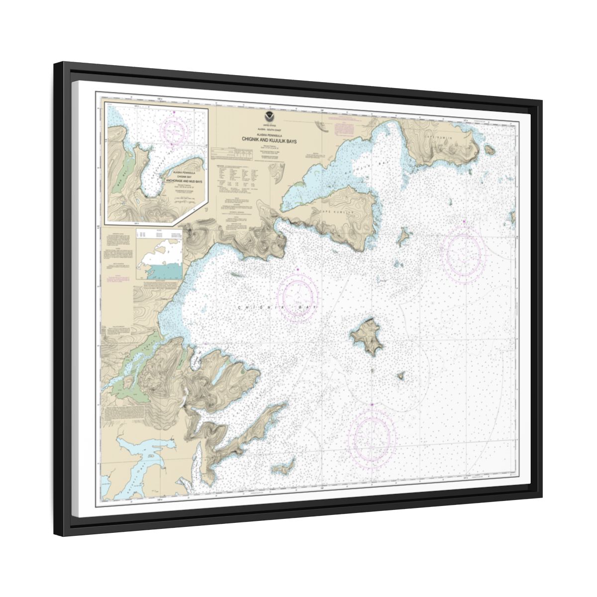 Chart 16566 Chignik and Kujulik Bays, Alaska Pen.;Anchorage and Mud Bays, Chignik Bay - NOAA Nautical Chart Floating Frame Canvas | 32" x 24" | 40" x 30" - Black side