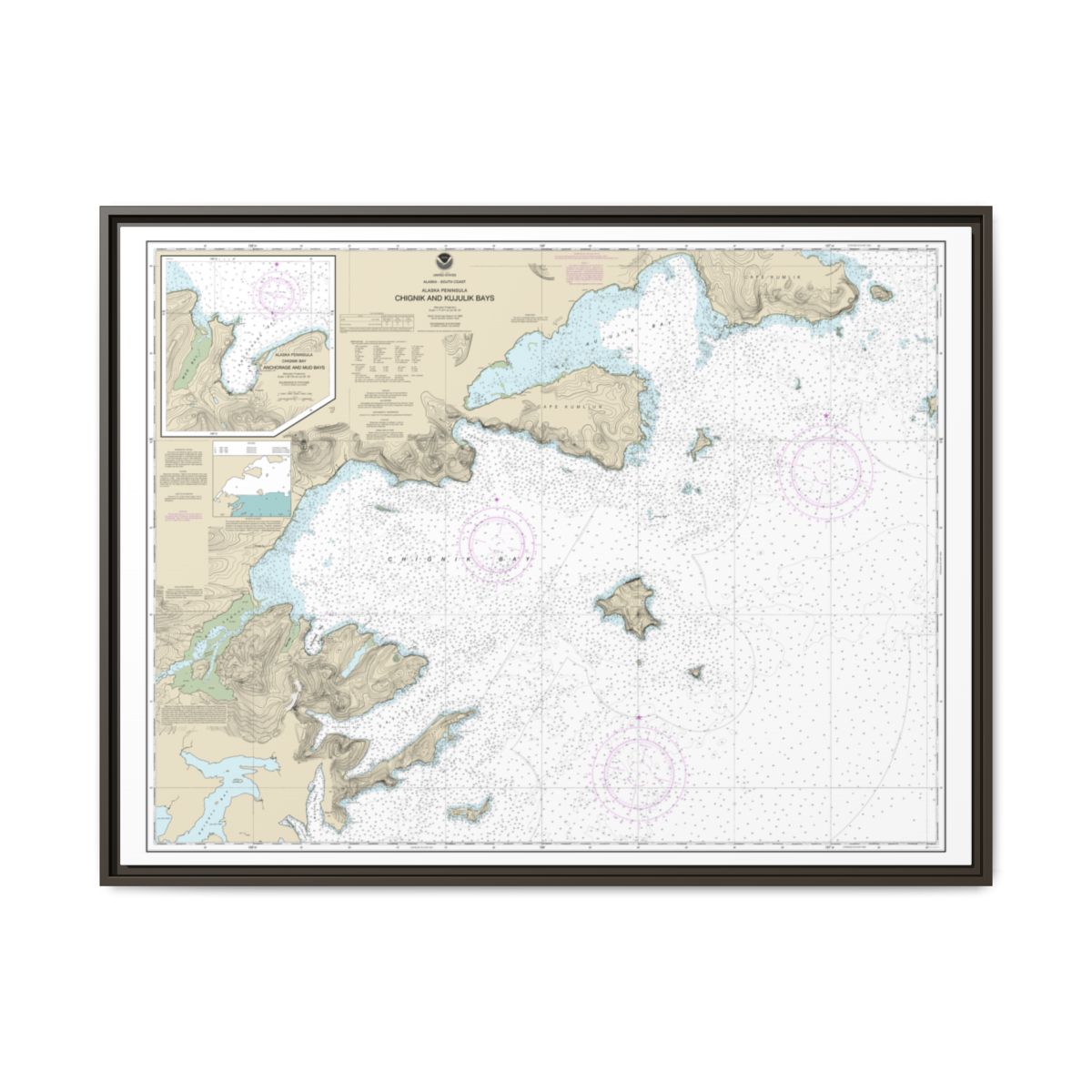 Chart 16566 Chignik and Kujulik Bays, Alaska Pen.;Anchorage and Mud Bays, Chignik Bay - NOAA Nautical Chart Floating Frame Canvas | 32" x 24" | 40" x 30" - Espresso front