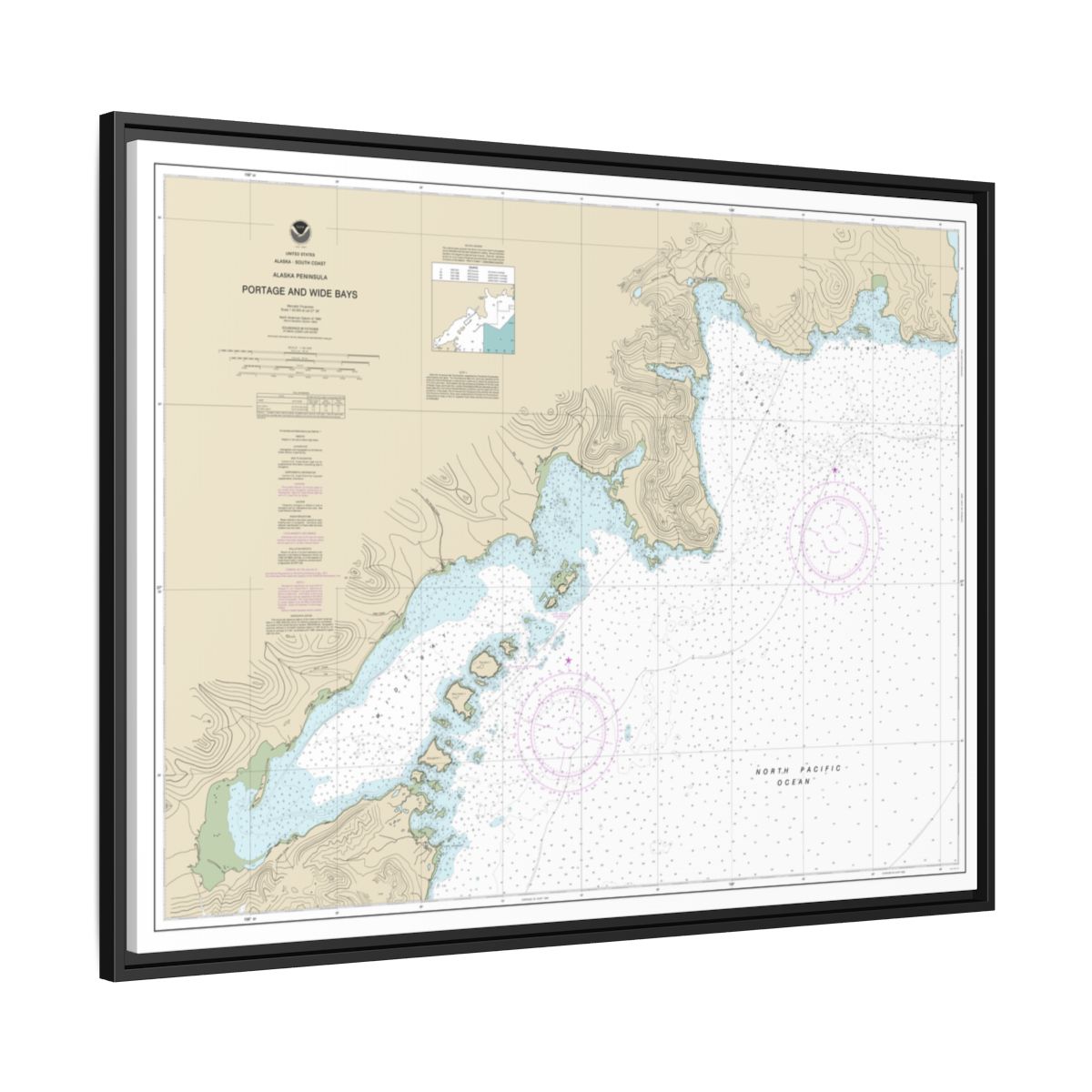 Chart 16570 Portage and Wide Bays, Alaska Pen. - NOAA Nautical Chart Floating Frame Canvas | 32" x 24" | 40" x 30" - Black side