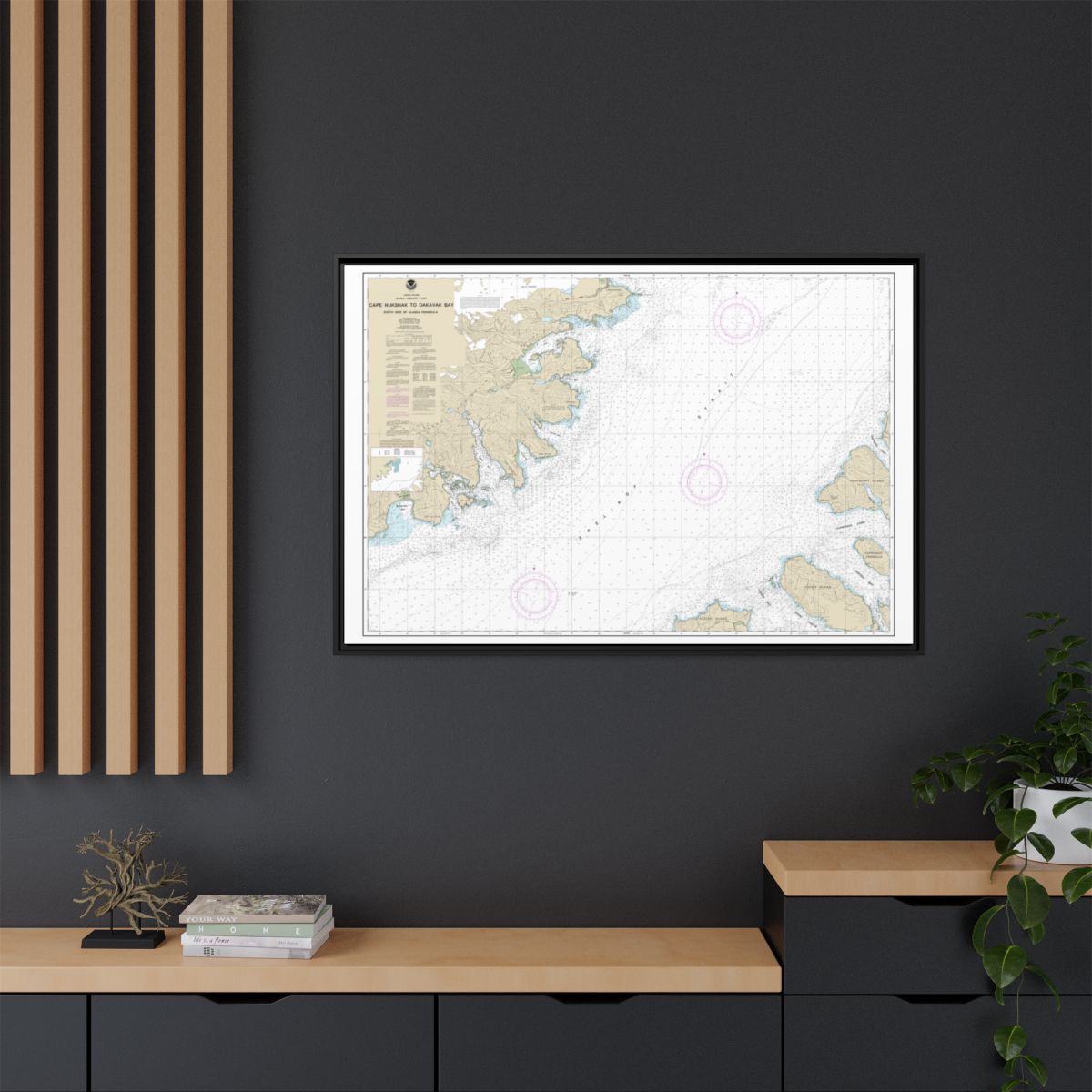 Chart 16576 Shelikof Strait-Cape Nukshak to Dakavak Bay - NOAA Nautical Chart Floating Frame Canvas | 30" x 20" | 36" x 24" | 48" x 32" - Black context-2
