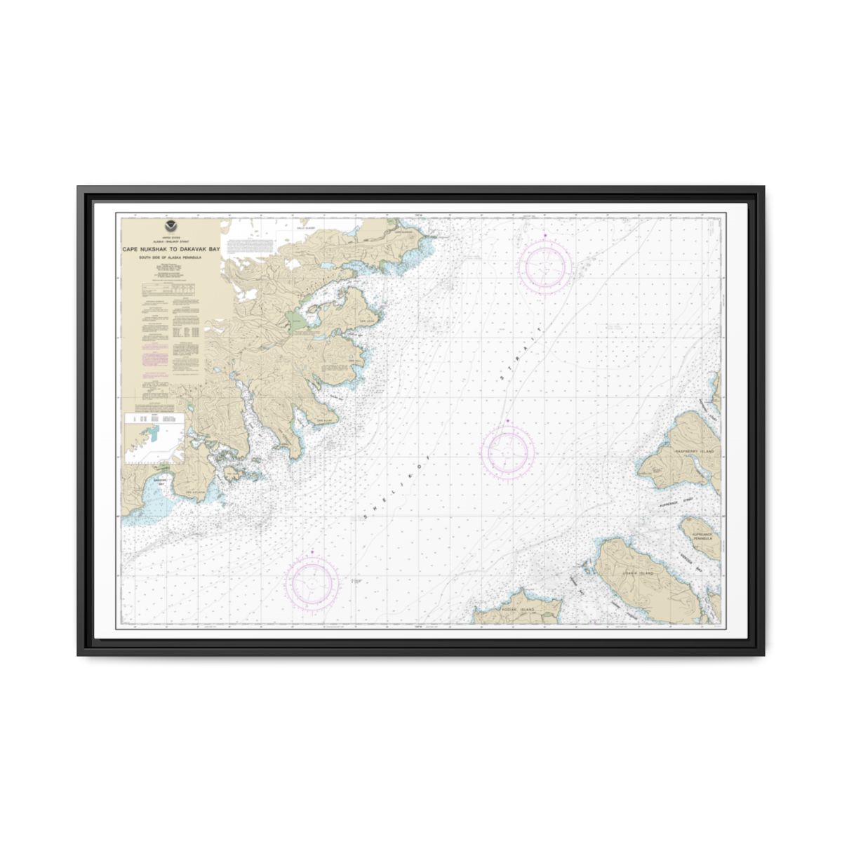 Chart 16576 Shelikof Strait-Cape Nukshak to Dakavak Bay - NOAA Nautical Chart Floating Frame Canvas | 30" x 20" | 36" x 24" | 48" x 32" - Black front