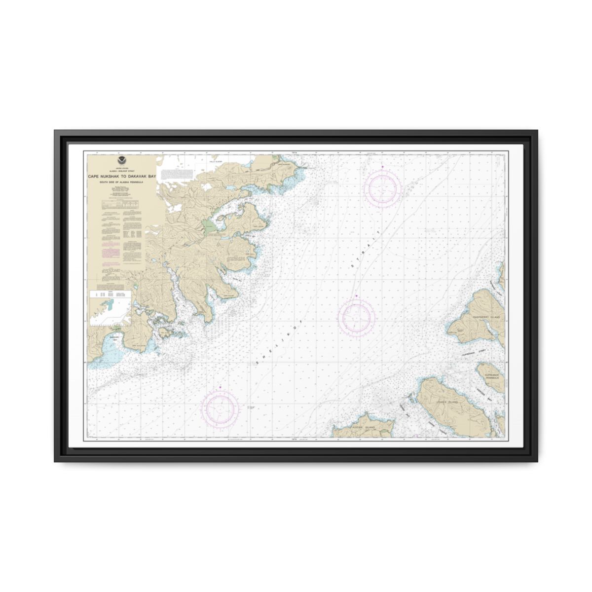 Chart 16576 Shelikof Strait-Cape Nukshak to Dakavak Bay - NOAA Nautical Chart Floating Frame Canvas | 30" x 20" | 36" x 24" | 48" x 32" - Black front