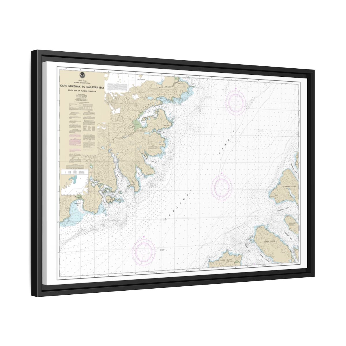 Chart 16576 Shelikof Strait-Cape Nukshak to Dakavak Bay - NOAA Nautical Chart Floating Frame Canvas | 30" x 20" | 36" x 24" | 48" x 32" - Black side