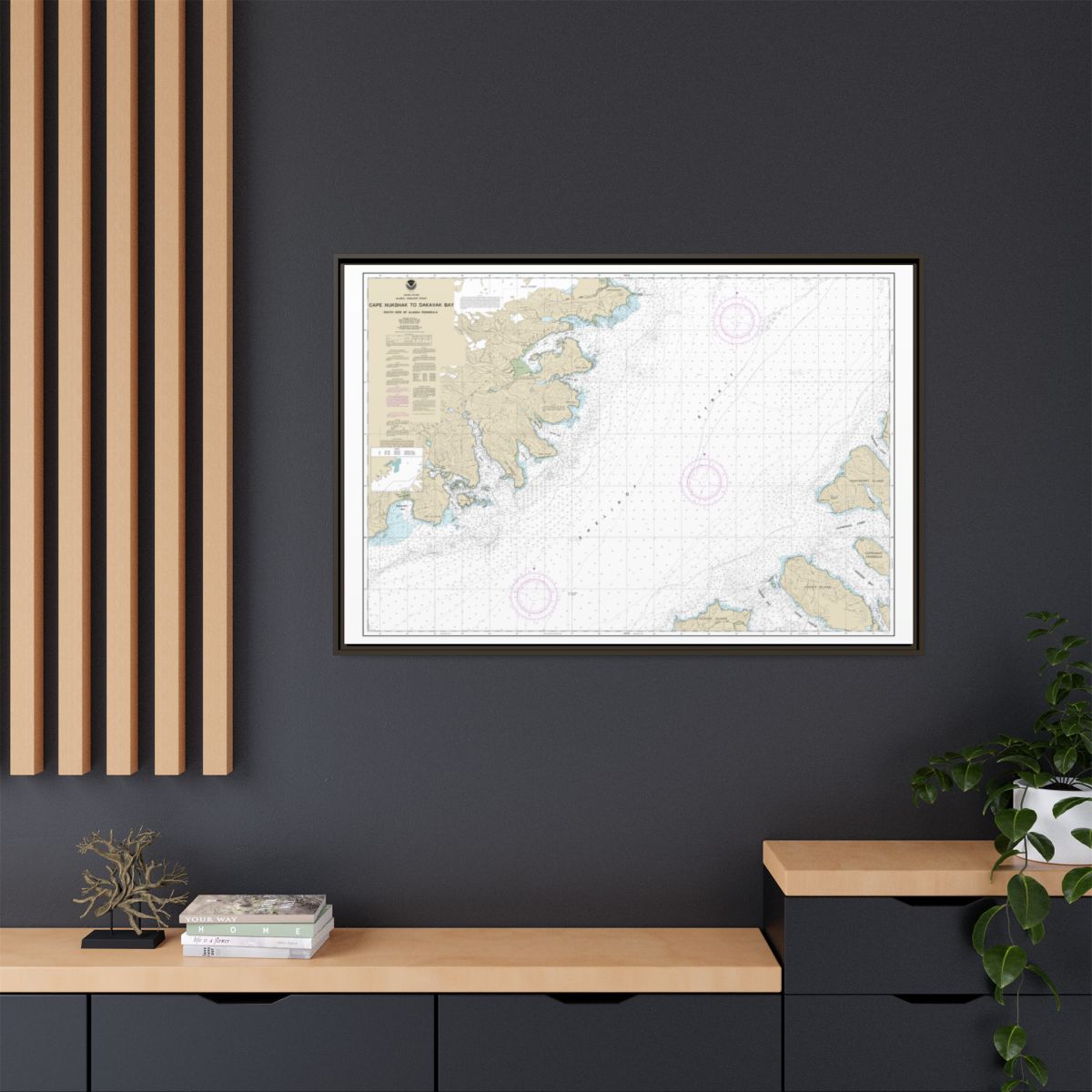 Chart 16576 Shelikof Strait-Cape Nukshak to Dakavak Bay - NOAA Nautical Chart Floating Frame Canvas | 30" x 20" | 36" x 24" | 48" x 32" - Espresso context-2