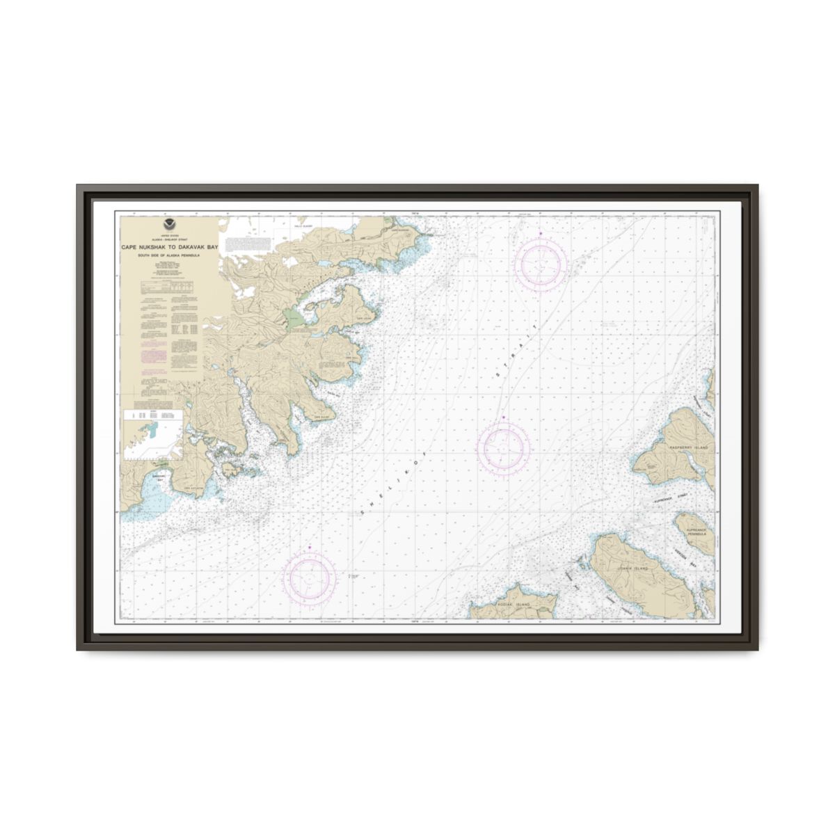 Chart 16576 Shelikof Strait-Cape Nukshak to Dakavak Bay - NOAA Nautical Chart Floating Frame Canvas | 30" x 20" | 36" x 24" | 48" x 32" - Espresso front