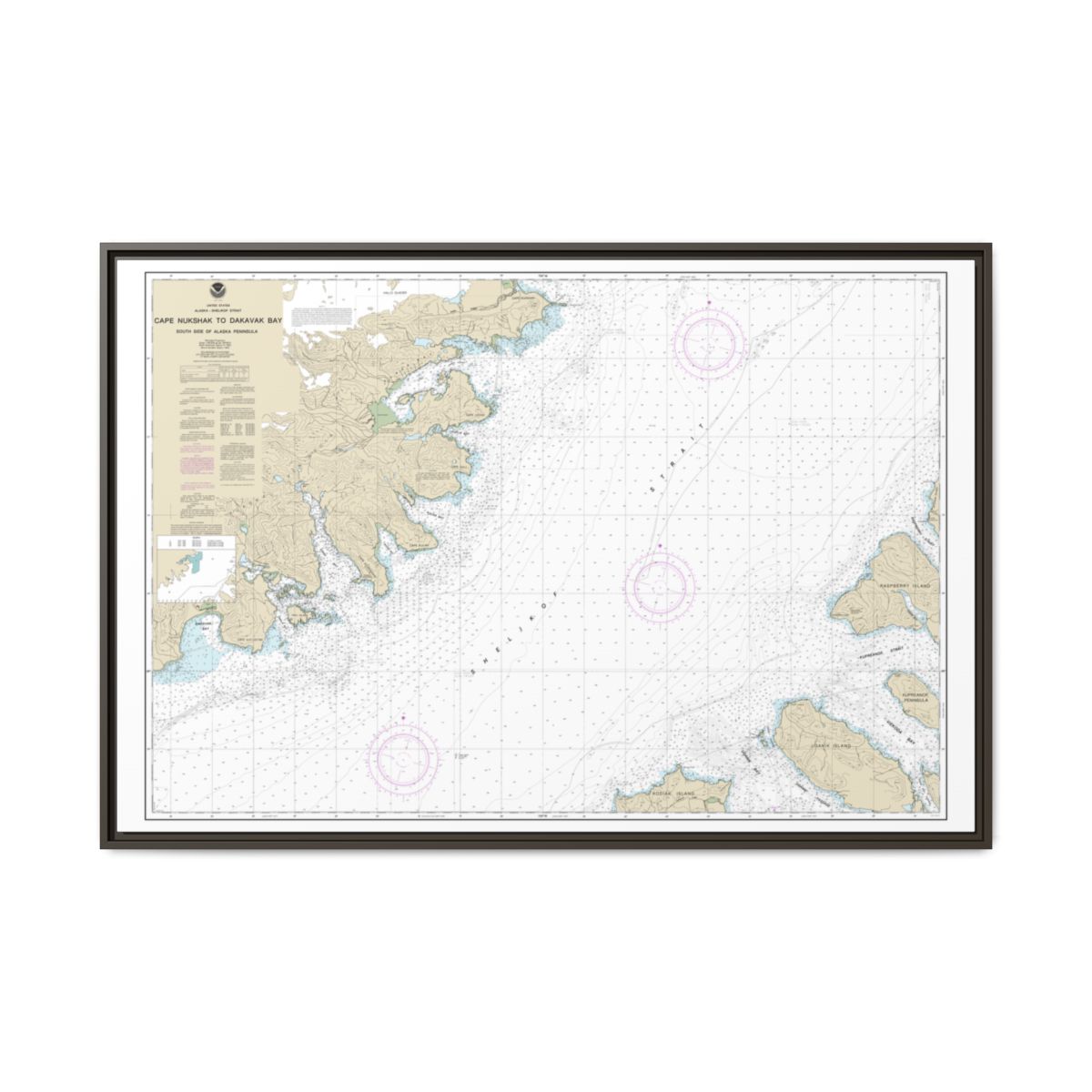 Chart 16576 Shelikof Strait-Cape Nukshak to Dakavak Bay - NOAA Nautical Chart Floating Frame Canvas | 30" x 20" | 36" x 24" | 48" x 32" - Espresso front