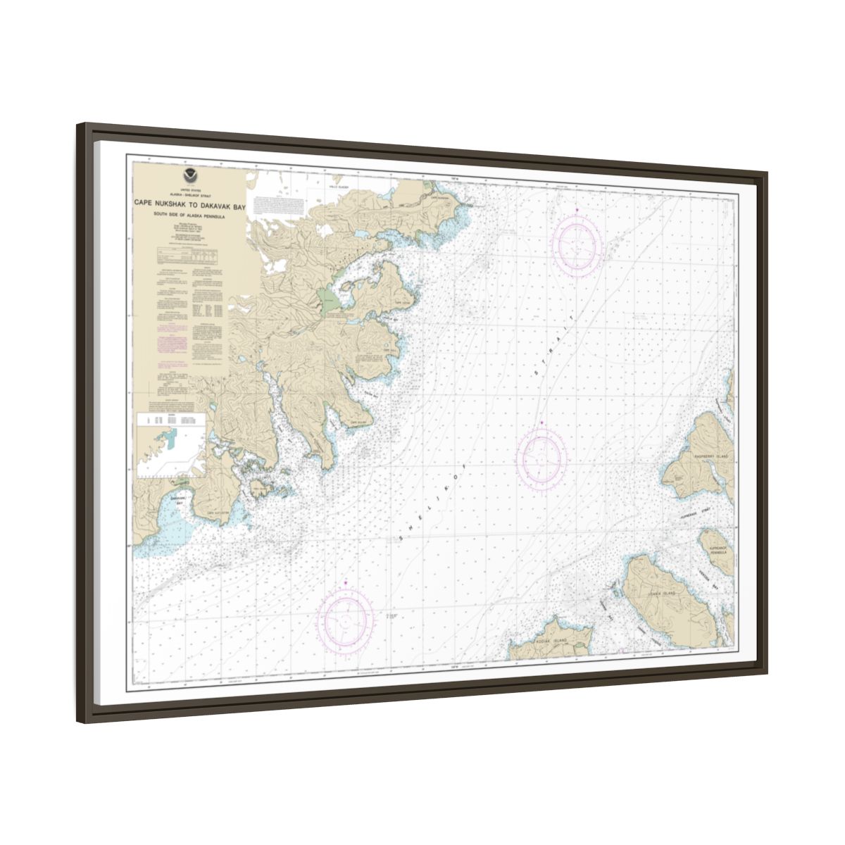 Chart 16576 Shelikof Strait-Cape Nukshak to Dakavak Bay - NOAA Nautical Chart Floating Frame Canvas | 30" x 20" | 36" x 24" | 48" x 32" - Espresso side