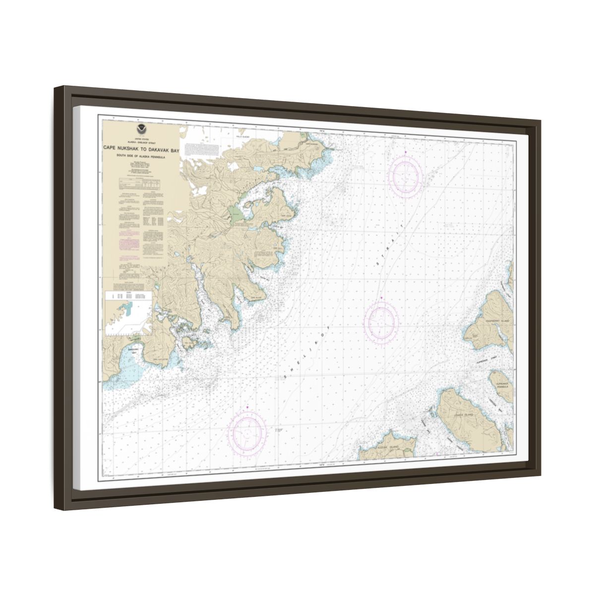 Chart 16576 Shelikof Strait-Cape Nukshak to Dakavak Bay - NOAA Nautical Chart Floating Frame Canvas | 30" x 20" | 36" x 24" | 48" x 32" - Espresso side