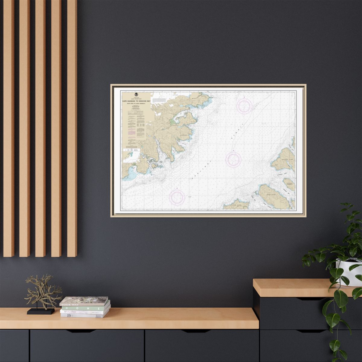 Chart 16576 Shelikof Strait-Cape Nukshak to Dakavak Bay - NOAA Nautical Chart Floating Frame Canvas | 30" x 20" | 36" x 24" | 48" x 32" - Natural context-2