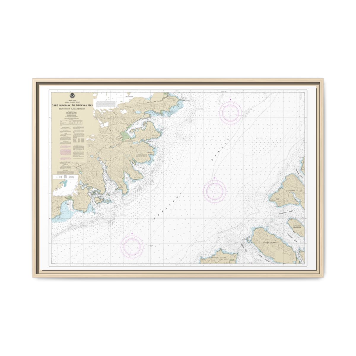 Chart 16576 Shelikof Strait-Cape Nukshak to Dakavak Bay - NOAA Nautical Chart Floating Frame Canvas | 30" x 20" | 36" x 24" | 48" x 32" - Natural front