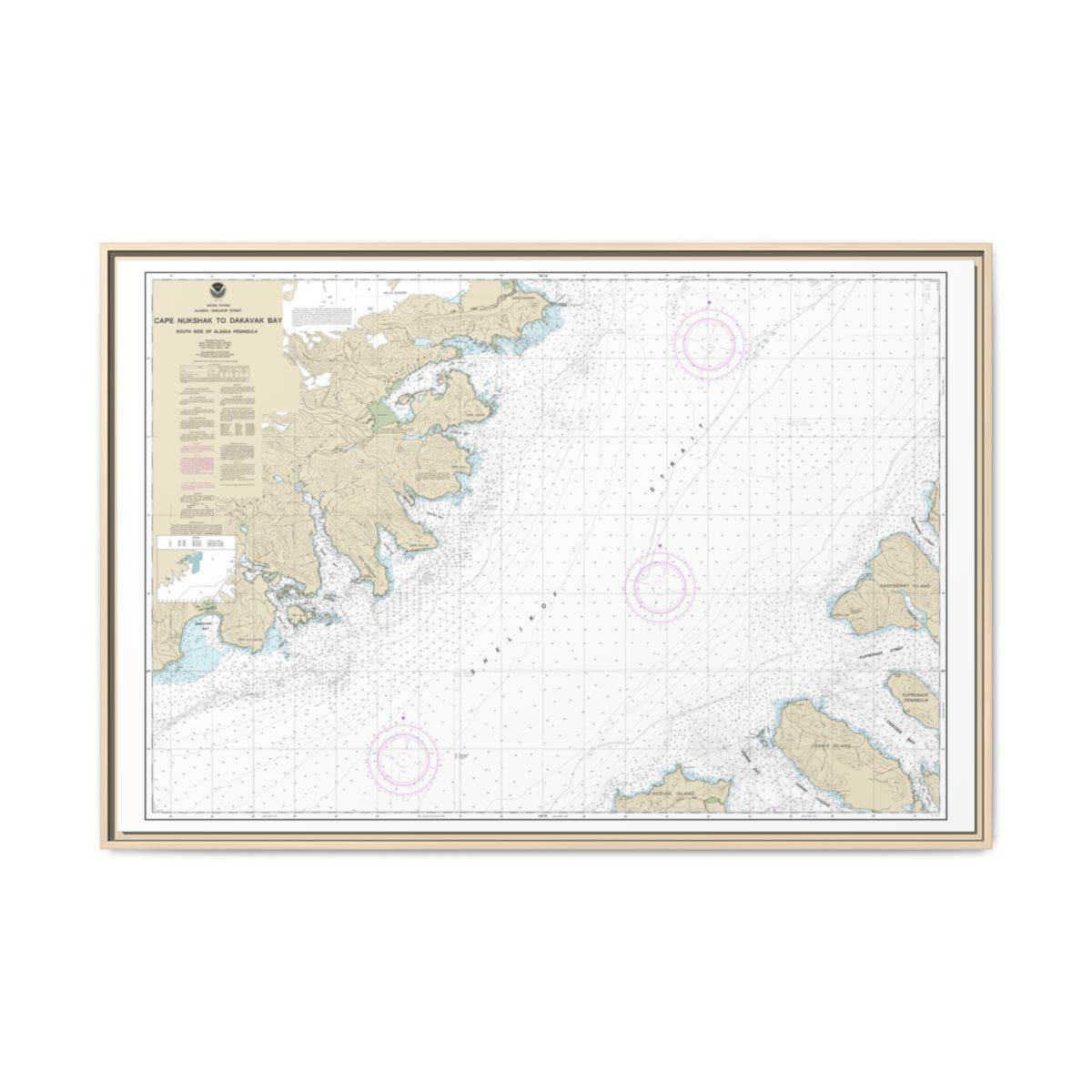 Chart 16576 Shelikof Strait-Cape Nukshak to Dakavak Bay - NOAA Nautical Chart Floating Frame Canvas | 30" x 20" | 36" x 24" | 48" x 32" - Natural front