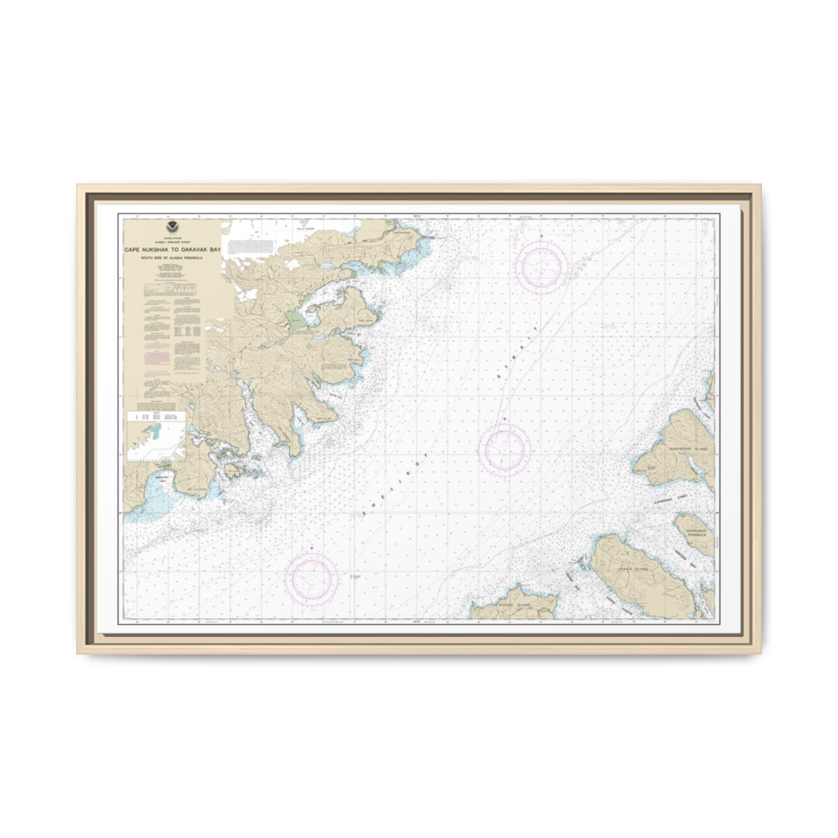 Chart 16576 Shelikof Strait-Cape Nukshak to Dakavak Bay - NOAA Nautical Chart Floating Frame Canvas | 30" x 20" | 36" x 24" | 48" x 32" - Natural front