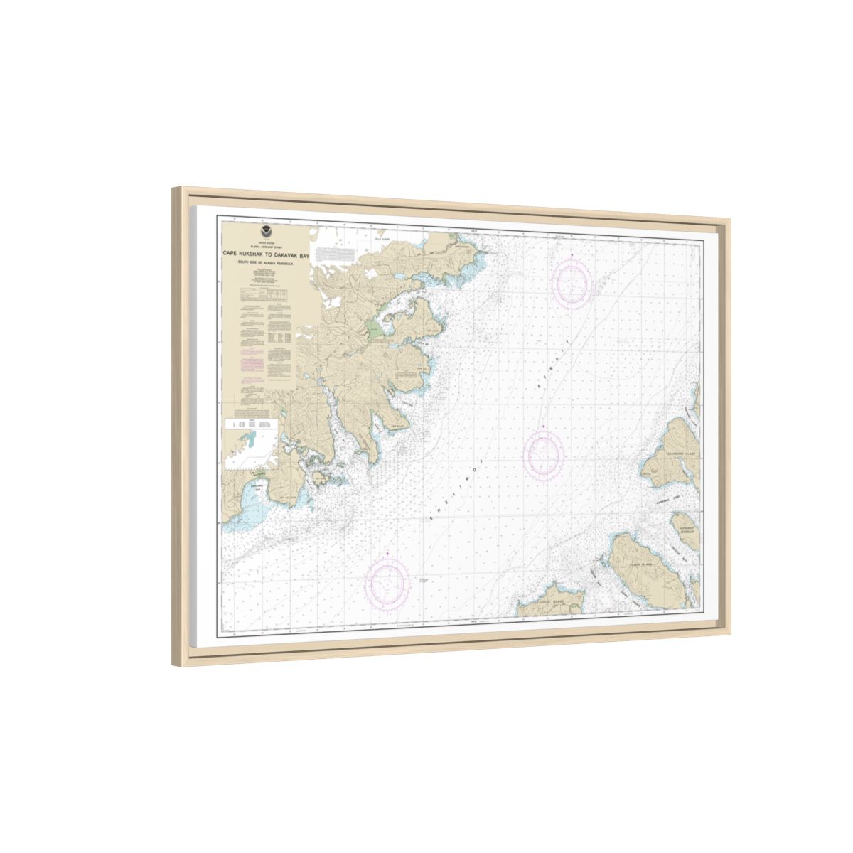 Chart 16576 Shelikof Strait-Cape Nukshak to Dakavak Bay - NOAA Nautical Chart Floating Frame Canvas | 30" x 20" | 36" x 24" | 48" x 32" - Natural side