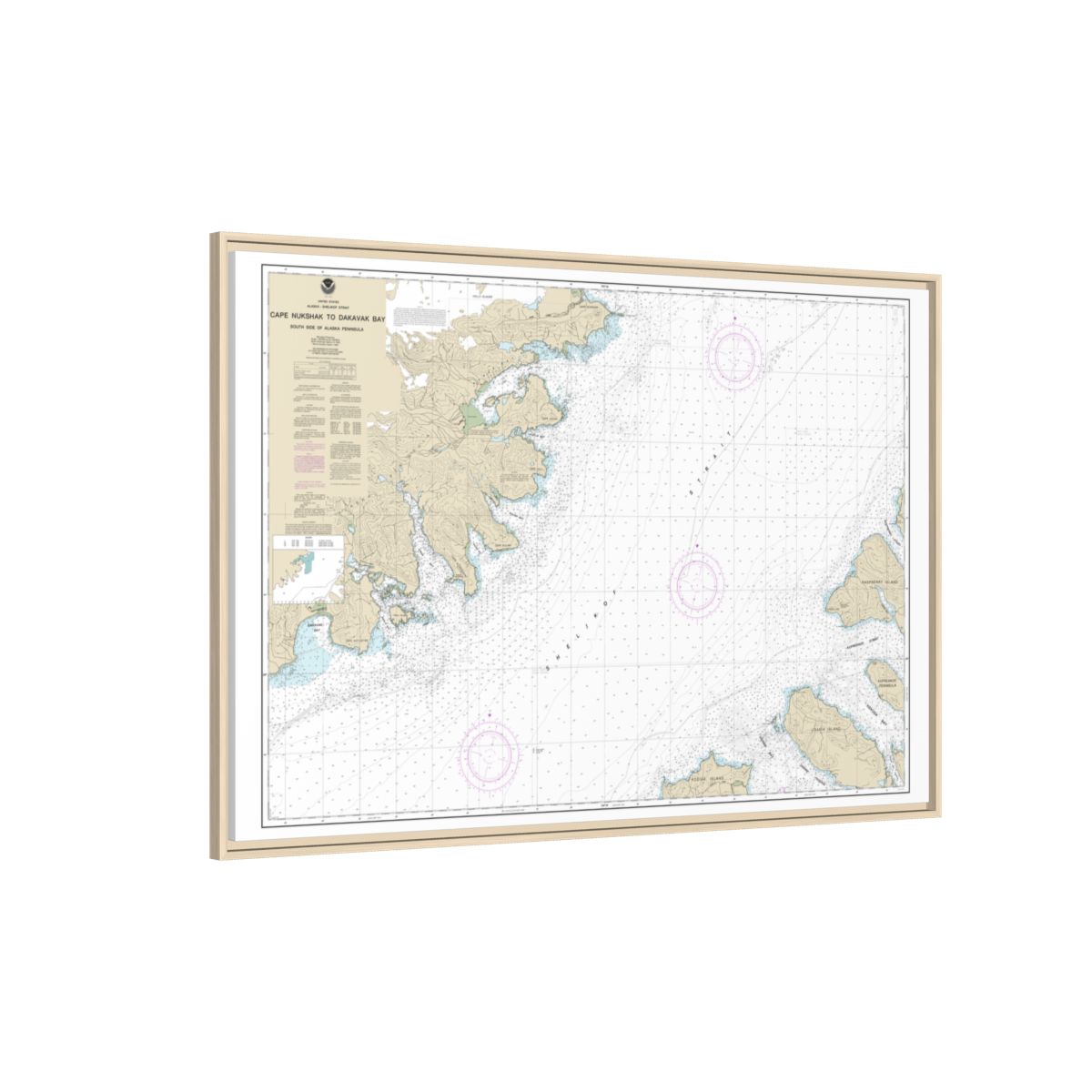 Chart 16576 Shelikof Strait-Cape Nukshak to Dakavak Bay - NOAA Nautical Chart Floating Frame Canvas | 30" x 20" | 36" x 24" | 48" x 32" - Natural side