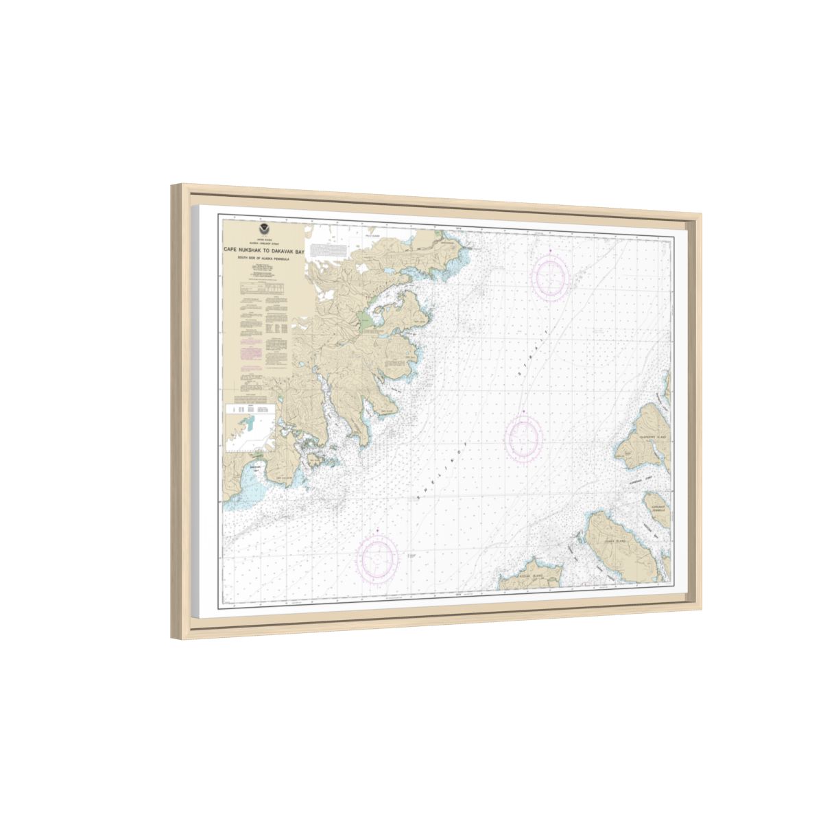 Chart 16576 Shelikof Strait-Cape Nukshak to Dakavak Bay - NOAA Nautical Chart Floating Frame Canvas | 30" x 20" | 36" x 24" | 48" x 32" - Natural side