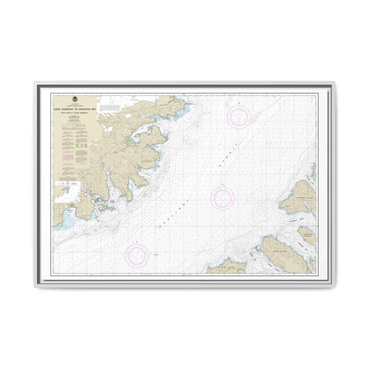 Chart 16576 Shelikof Strait-Cape Nukshak to Dakavak Bay - NOAA Nautical Chart Floating Frame Canvas | 30" x 20" | 36" x 24" | 48" x 32" - White front