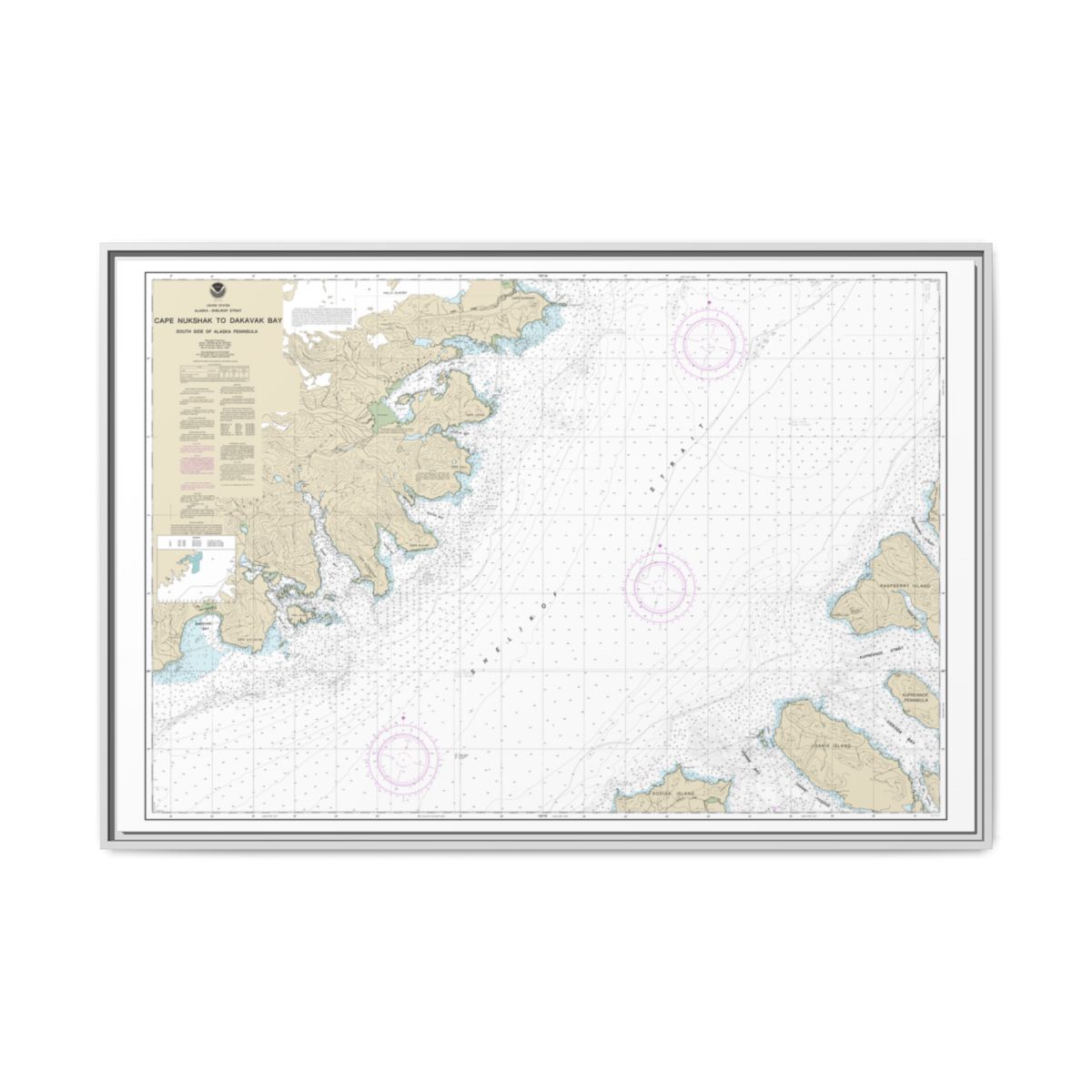 Chart 16576 Shelikof Strait-Cape Nukshak to Dakavak Bay - NOAA Nautical Chart Floating Frame Canvas | 30" x 20" | 36" x 24" | 48" x 32" - White front