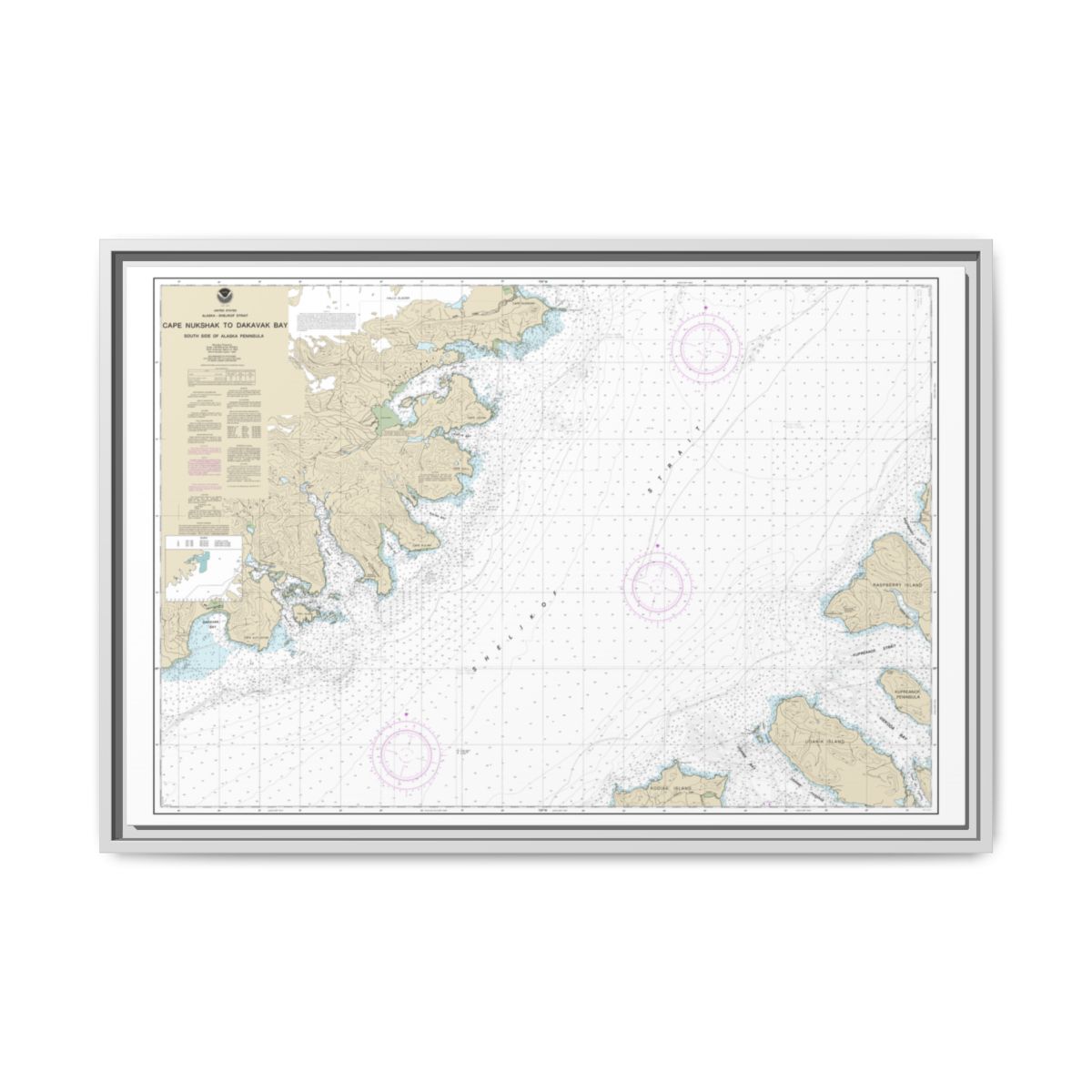 Chart 16576 Shelikof Strait-Cape Nukshak to Dakavak Bay - NOAA Nautical Chart Floating Frame Canvas | 30" x 20" | 36" x 24" | 48" x 32" - White front
