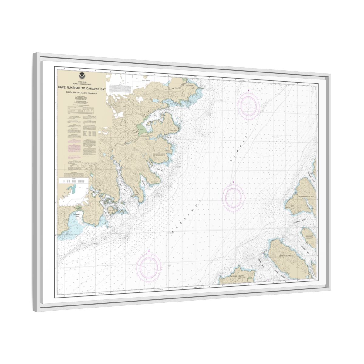 Chart 16576 Shelikof Strait-Cape Nukshak to Dakavak Bay - NOAA Nautical Chart Floating Frame Canvas | 30" x 20" | 36" x 24" | 48" x 32" - White side
