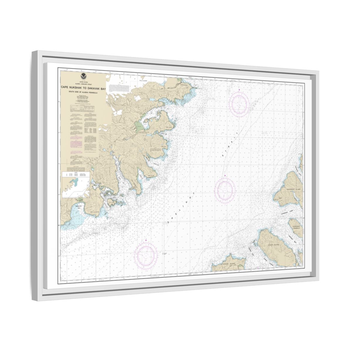 Chart 16576 Shelikof Strait-Cape Nukshak to Dakavak Bay - NOAA Nautical Chart Floating Frame Canvas | 30" x 20" | 36" x 24" | 48" x 32" - White side